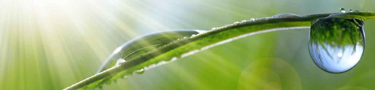benefits-of-natural-light
